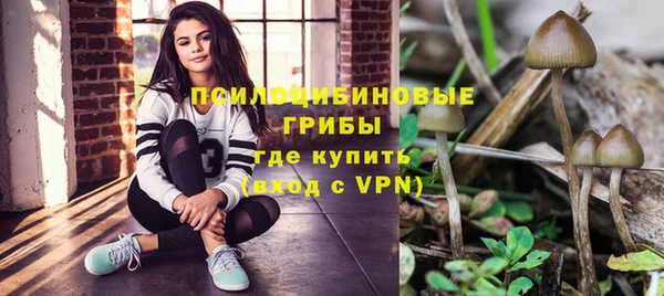 альфа пвп Богородицк