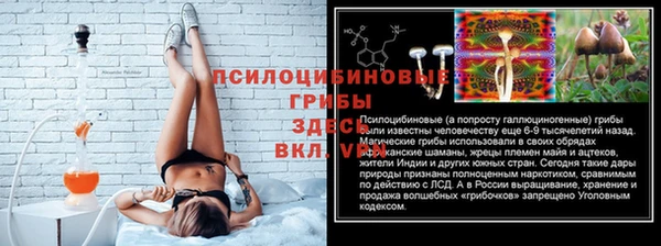 СК Бородино