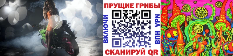 блэк спрут зеркало Королёв Псилоцибиновые грибы Psilocybine cubensis дарнет шоп