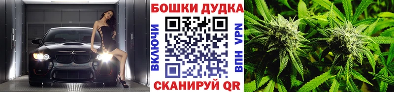 Канабис индика хочу Королёв